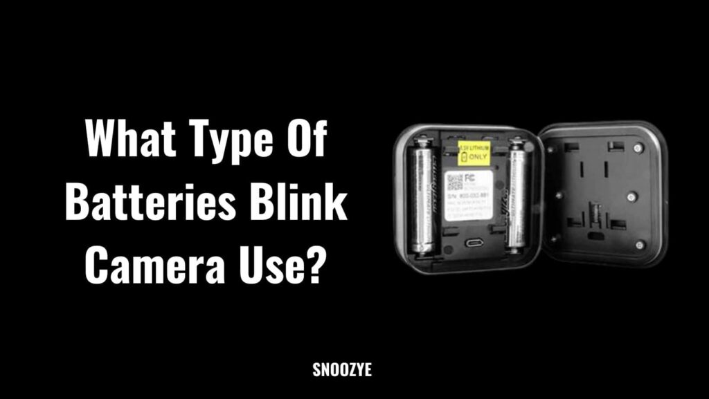 Battery type for blink camera
