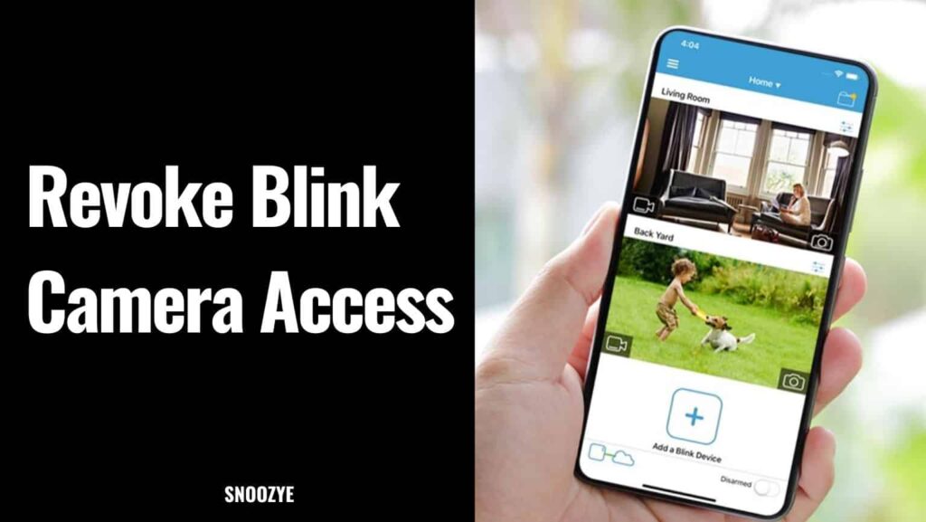 How to remove blink access