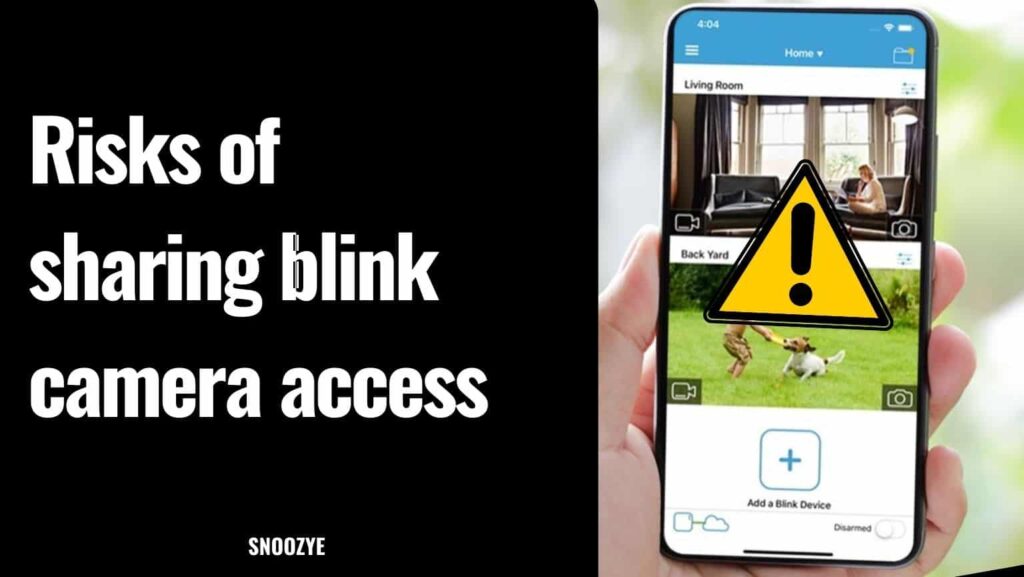 Risks of sharing blink camera access