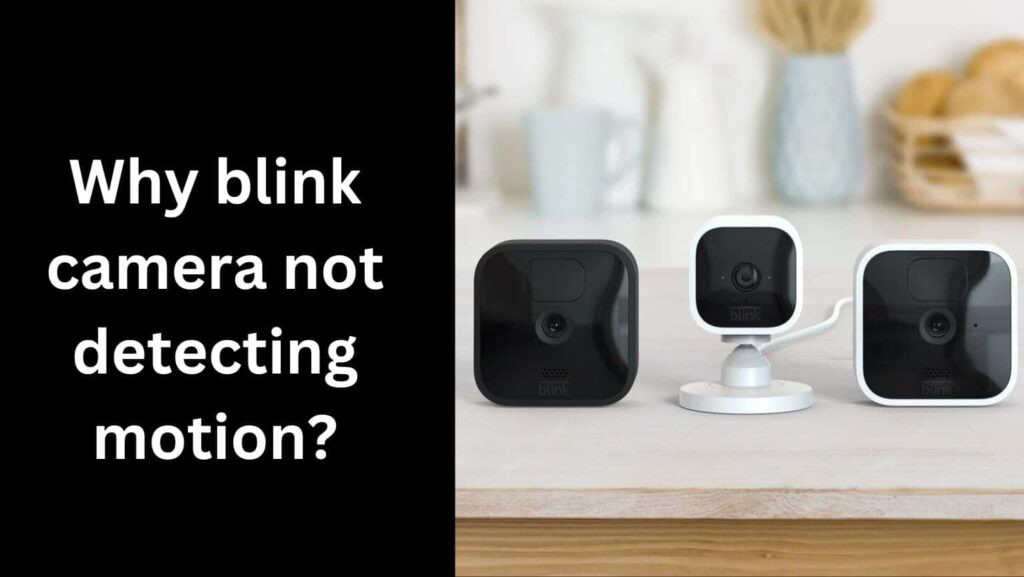 Why blink camera not detecting motion?