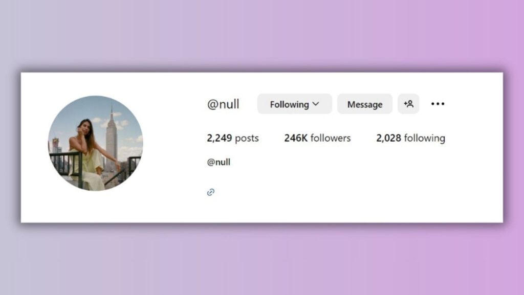 what does null mean on instagram